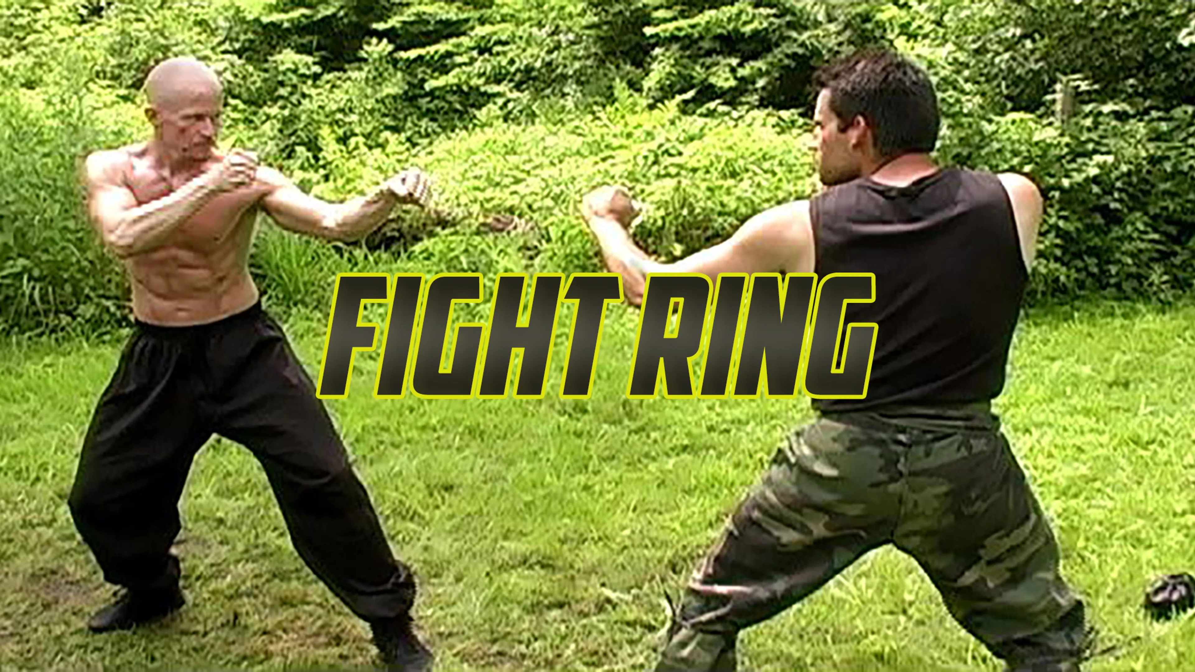 Fight Ring poster
